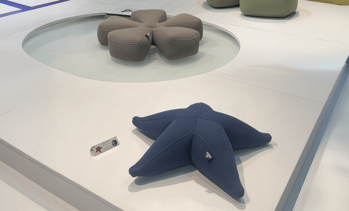 Starfish by OGO